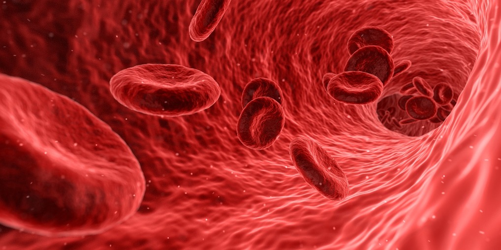 Book Anticoagulation Service with the PHARMASAVE Breslau Commons Pharmacist PHARMASAVE Breslau Commons Pharmacist provides both INR testing and warfarin dose management services
